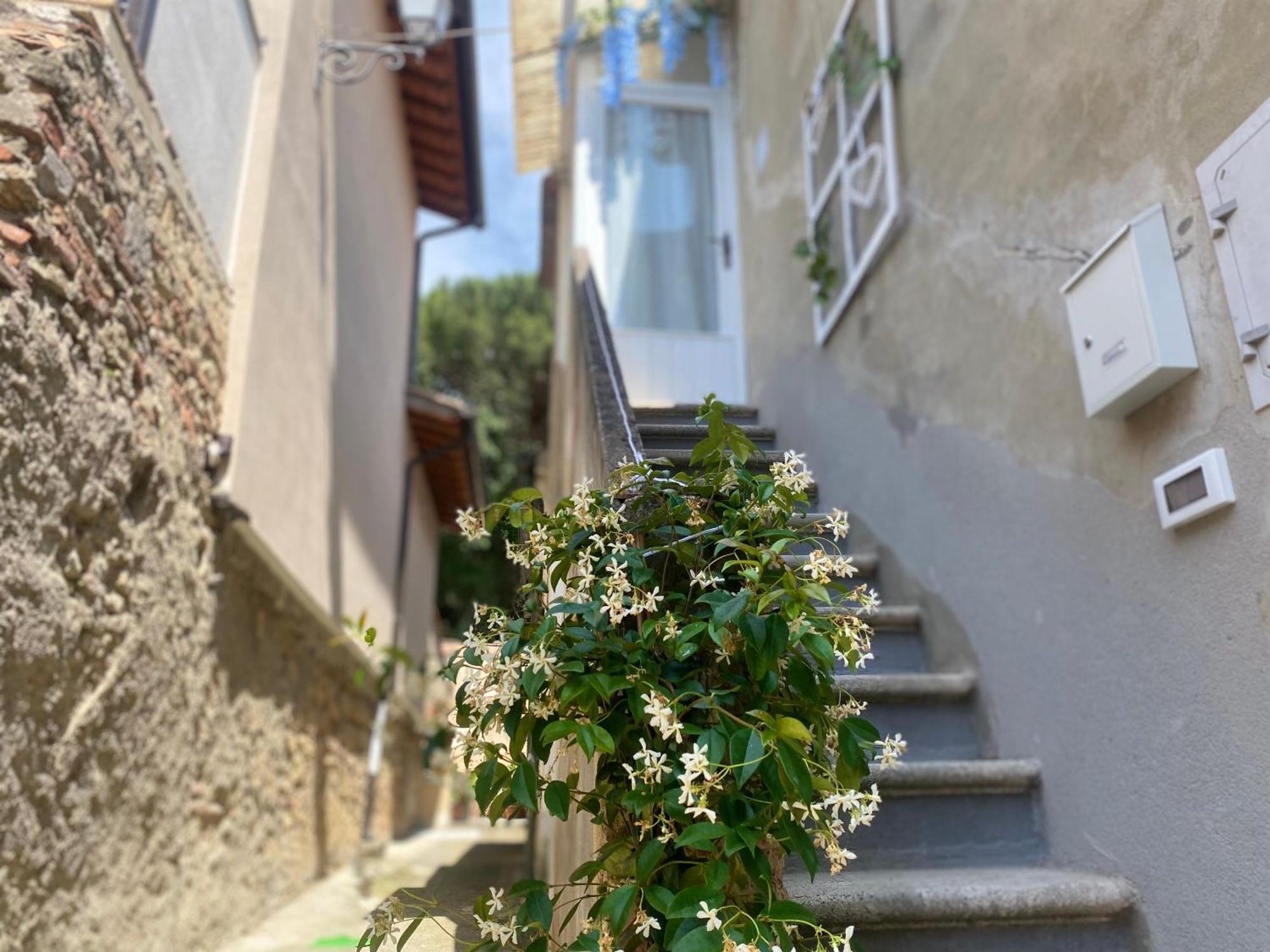 La Petite Maison Usigliano Экстерьер фото